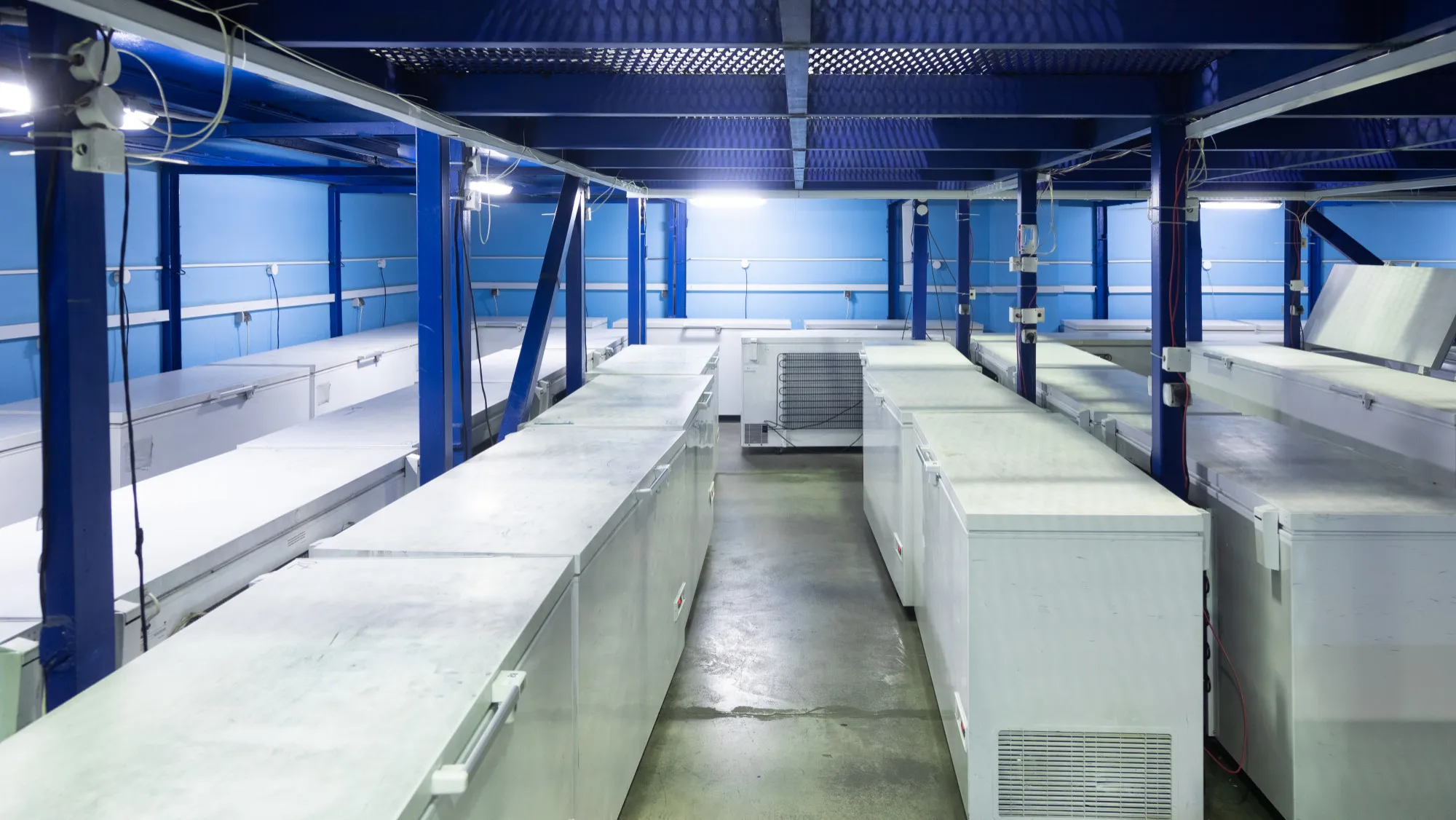 Riparazione frigoriferi industriali in Toscana